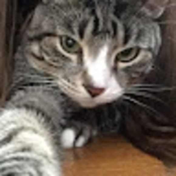 Meet your Posher, Nicole - Picture 1 of 1